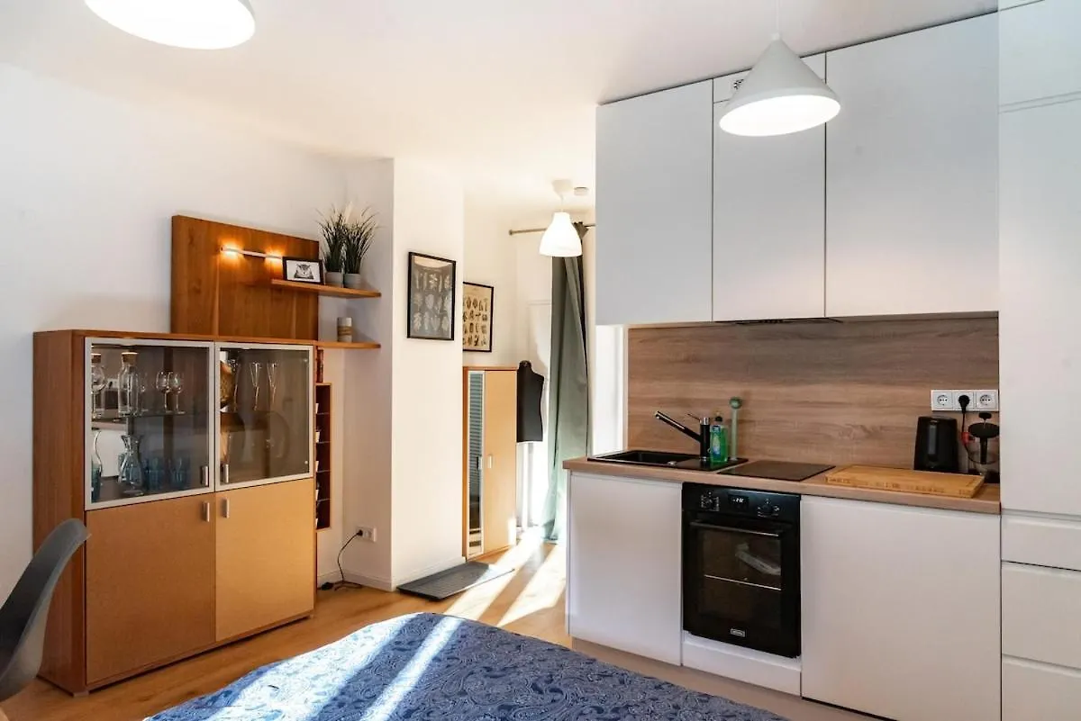 Apartment Mit Terrasse Dresden